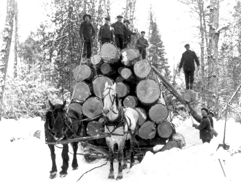 LoadingLogsonSled