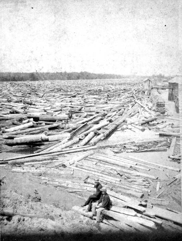 LogJamGrandRapidsUpriver