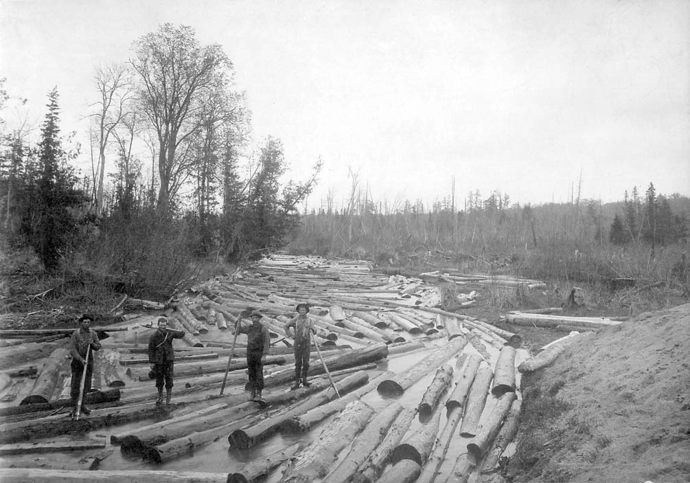 LogsInRiver